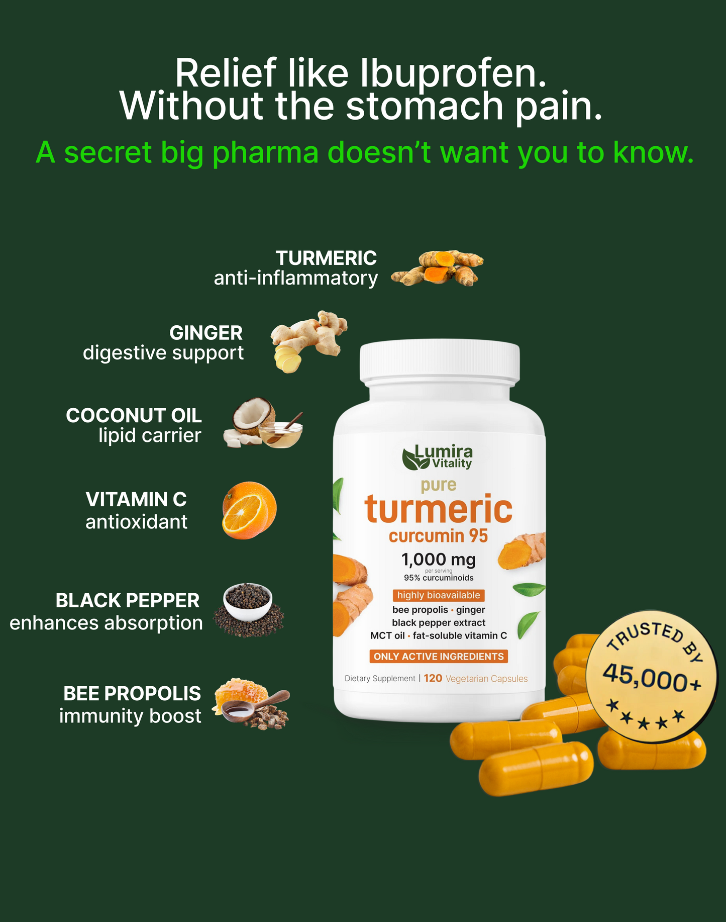 Turmeric Curcumin - 120 Capsules